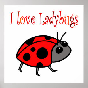 Poster de Ladybugs