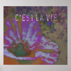 Poster de l'affiche C'est La Vie Poppy