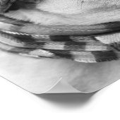 Poster de l'affiche de Carlin de Danse comme perso (Coin)