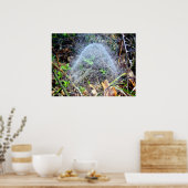 Poster de l'affiche de Filmy Dome Spider (Cuisine)