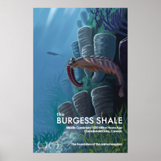 Poster de l'affiche de Shale Burgess