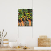 Poster de l'affiche Deer Hide in Trees (Cuisine)