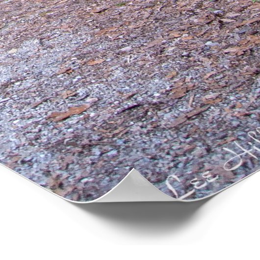 Poster de l'affiche du mur de pierre le long du se (Coin)