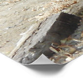 Poster de l'affiche murale Old Pioneer Wagon (Coin)