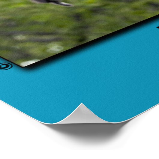 Poster de l'affiche "NO FEAR" Wood Ducks (Coin)