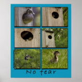 Poster de l'affiche "NO FEAR" Wood Ducks (Devant)