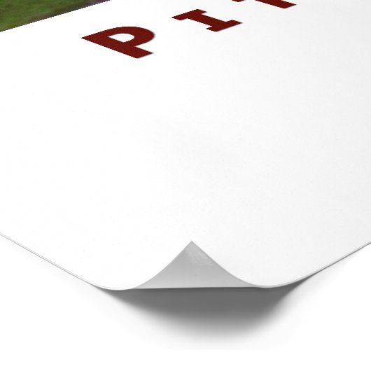 Poster de l'affiche Pitcher of Plums (Coin)