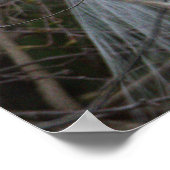 Poster de l'Aigette neigeuse (Coin)