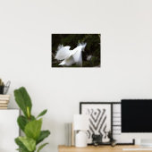 Poster de l'Aigette neigeuse (Bureau à domicile)