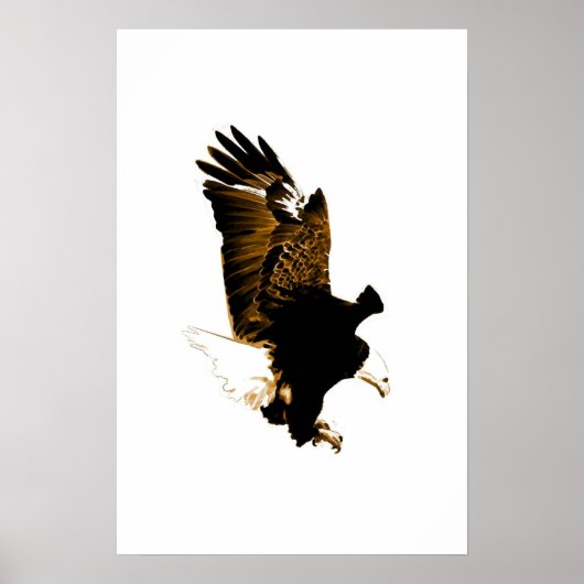 Poster de l'aigle à tête blanche américain Imprime (Devant)