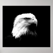 Poster de l'aigle américain Bald Eagle Imprimer (Devant)