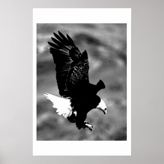 Poster de l'aigle d'Amérique Bald Imprimer Posters (Devant)