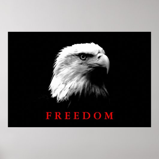 Poster de l'aigle de liberté en blanc noir (Devant)