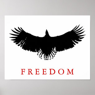 Poster de l'Aigle Landing de la liberté d'art pop
