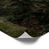 Poster de l'aile et de l'arbre (Coin)