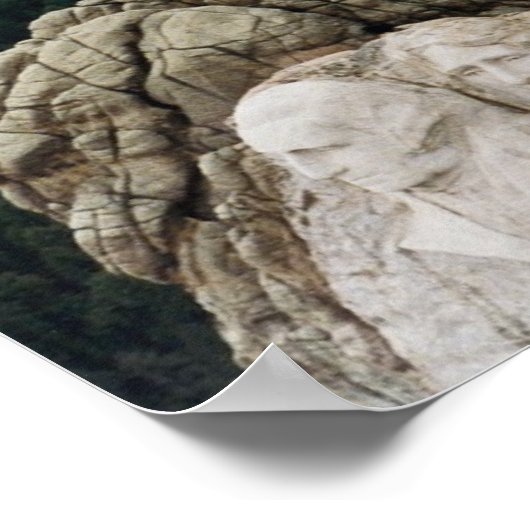 Poster de l'Air Force One sur le Mont Rushmore (Coin)