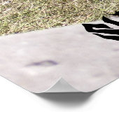 Poster de l'Alligator noir (Coin)