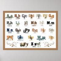 Poster de l'Alphabet animal et Poster 28 x 20 de l