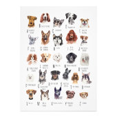 Poster de l'alphabet de chien (Devant)