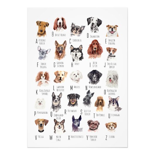Poster de l'alphabet de chien (Devant)