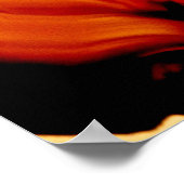 Poster de l'Amber Fire Rock Mineral (Coin)