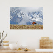 Poster de l'American Buffalo High in the Tetons (Cuisine)