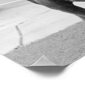 Poster de l'American Staffordshire Terrier (Coin)