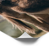 Poster De L'Âne, Du Chien, Du Chat Et Du Coq (Coin)