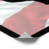 Poster de l'animateur de chiens scout du Vietnam (Coin)