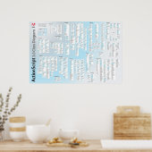 Poster de l'API Actionscript 3 (Cuisine)