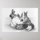 Poster de lapin (Devant)