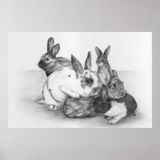 Poster de lapin (Devant)