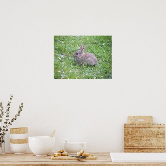Poster de lapin bébé (Cuisine)
