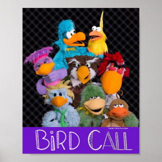 Poster de l'appel d'oiseaux
