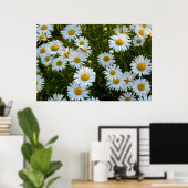 Poster de l'après-midi de Lazy Daisy (Bureau à domicile)