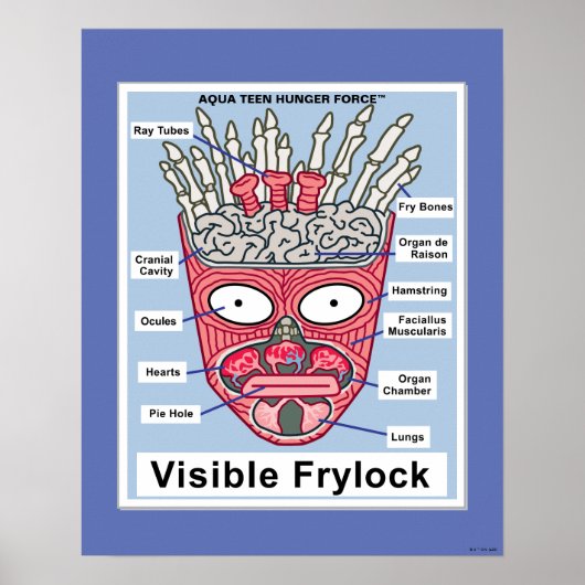 Poster de l'Aqua Ado Hunger Force Visible Frylock (Devant)