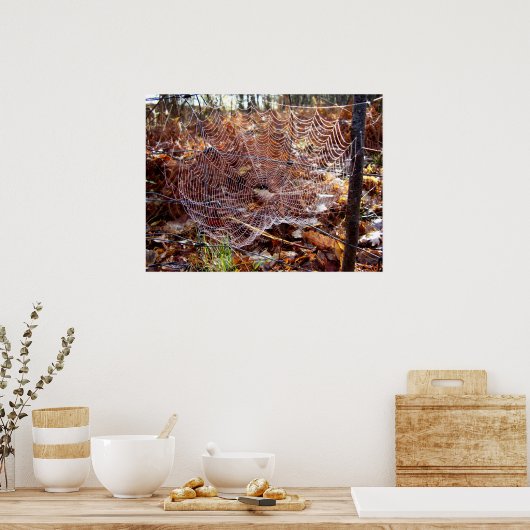 Poster de l'araignée européenne (Cuisine)