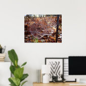 Poster de l'araignée européenne (Bureau à domicile)