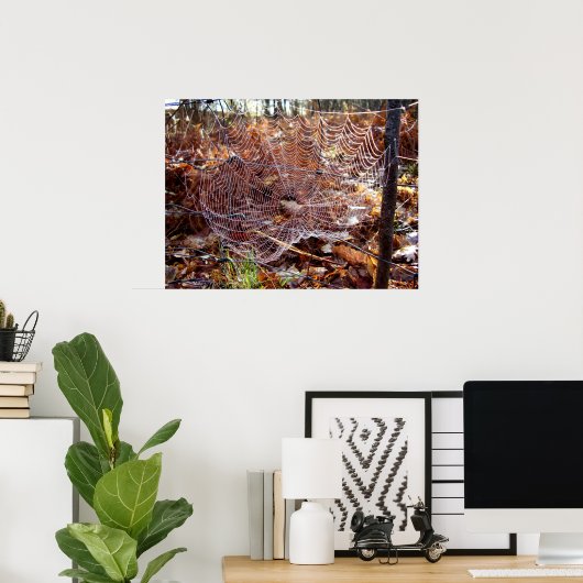 Poster de l'araignée européenne (Bureau à domicile)