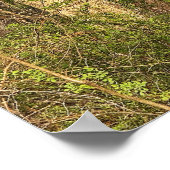 Poster de l'arbre (Coin)