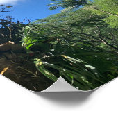 Poster de l'arbre à coco (Coin)