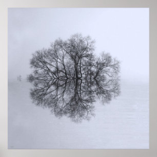 Poster de l'Arbre de réflexion