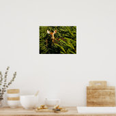 Poster de l'arbre des pins (Cuisine)
