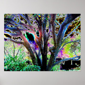 Poster de l'arbre généalogique