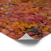 Poster de l'arbre généalogique d'automne orange, r (Coin)