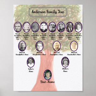 Poster de l'arbre généalogique de la feuille verte