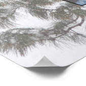 Poster de l'arbre généalogique Snowy À feuillage p (Coin)