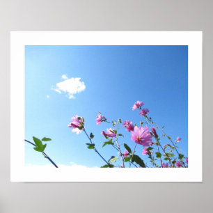 Poster de l'arbre mallow en fleurs