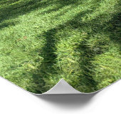 Poster de l'arbre pittoresque (Coin)