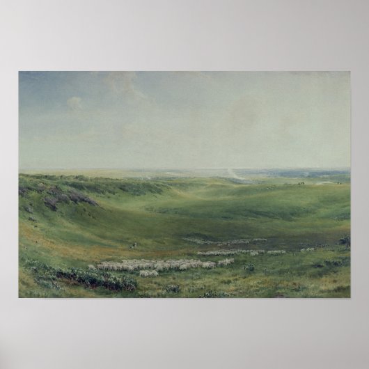 Poster De larges pâturages, Sussex (Devant)